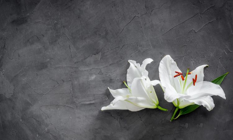 Grief Support Resources: Finding Help During Difficult Times